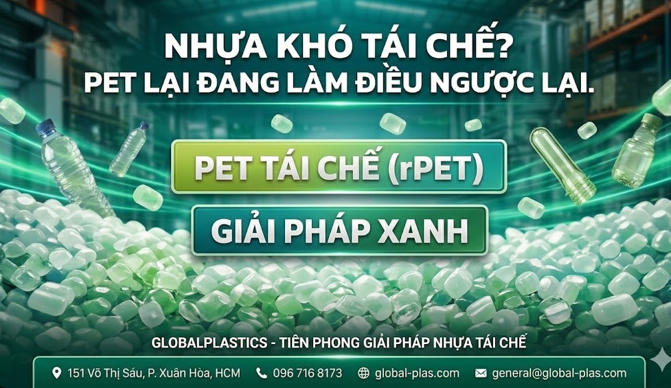 Nhựa PET Có Dễ Tái Chế Không? Vì Sao PET Là Loại Nhựa Dễ Tái Chế Nhất